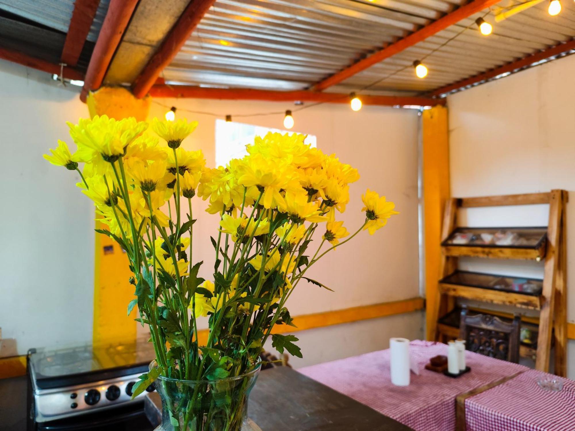 Mico Loco Casa Hostal Bogotá Exterior foto